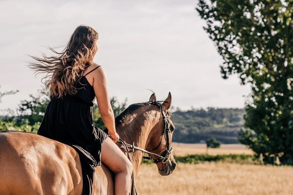 Une digestion plus saine pour un cheval en pleine forme